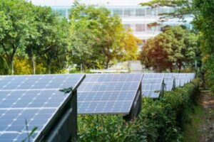 Rows of solar panels mounted on the ground and surrounding by trees